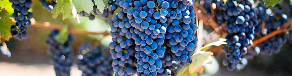 creavini_grapes