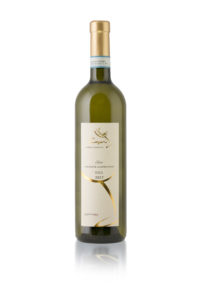Chardonnay Piemonte Capri Asia Import News