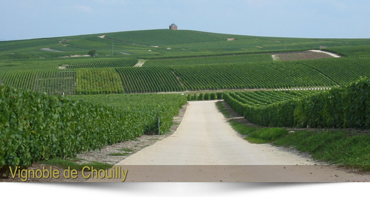 The home of a great Champagne - Champagne Hostomme - 