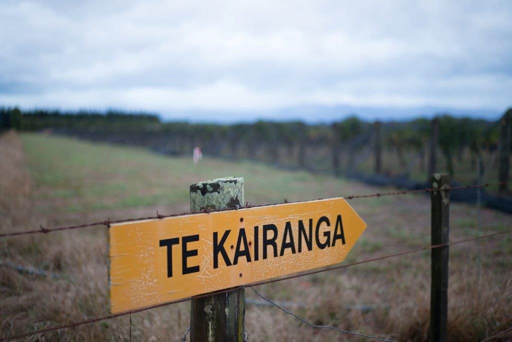 Foley Wines - Te Kairanga