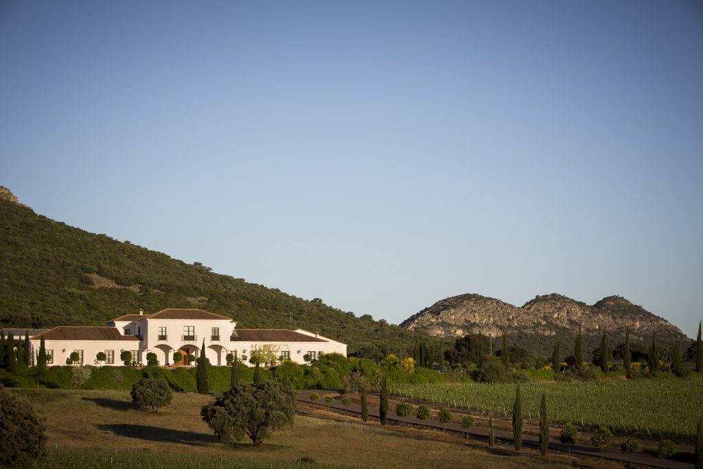 Viña Santa Marina - Winery