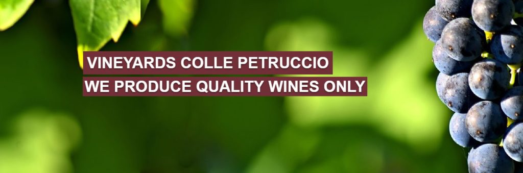 collepetruccio_wines_to_export