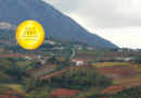 Azienda Agricola Terre D’Aglianico : A new cellar with cutting-edge processing technology that produce high-quality wines
