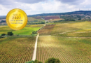 Interview with DFJ Vinhos SA : The Highest Quality Portuguese Wines
